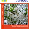 Nouvelles d’Auteuil n°274 – Mai-Juin-Été 2018